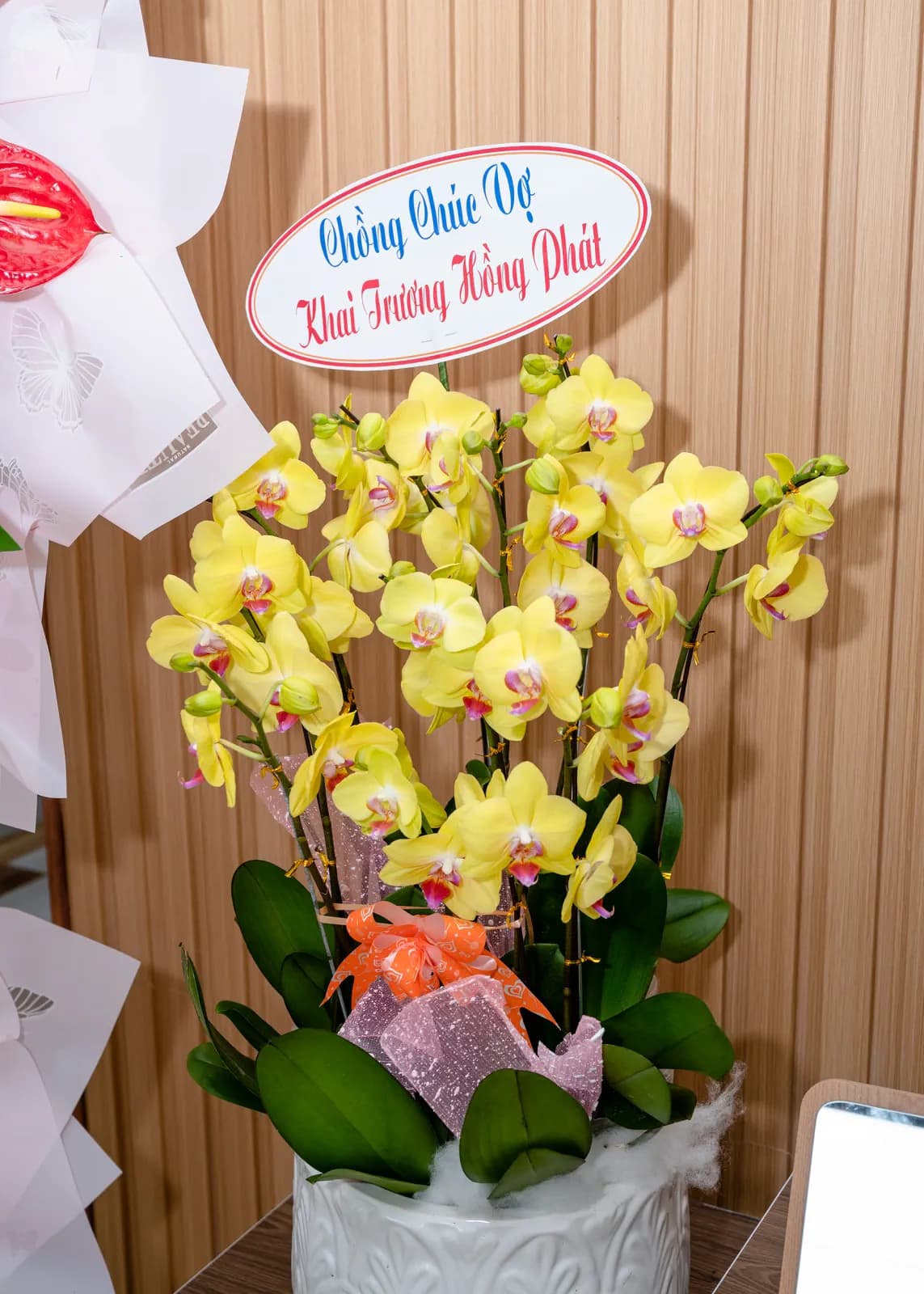 Chậu lan vàng cùng thiệp đỏ trên nền tường gỗ